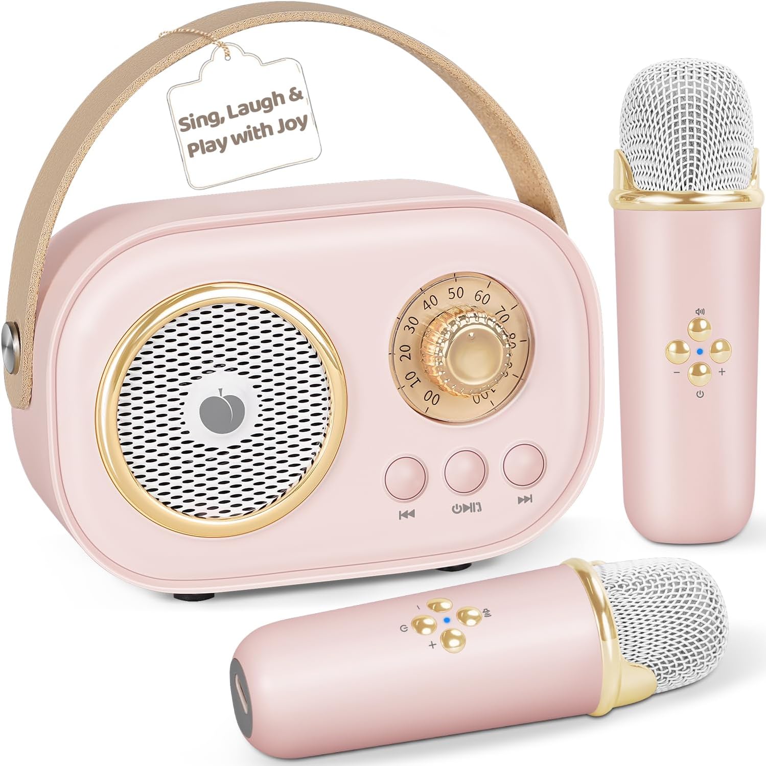 PRUNUS C20 Mini Karaoke Machine,Valentines Day Gifts for Her Him Kids Mens,Portable Bluetooth Speaker with 2 Wireless Microphone for Boys Girls 3-12+ Years Old Birthday Party Pink