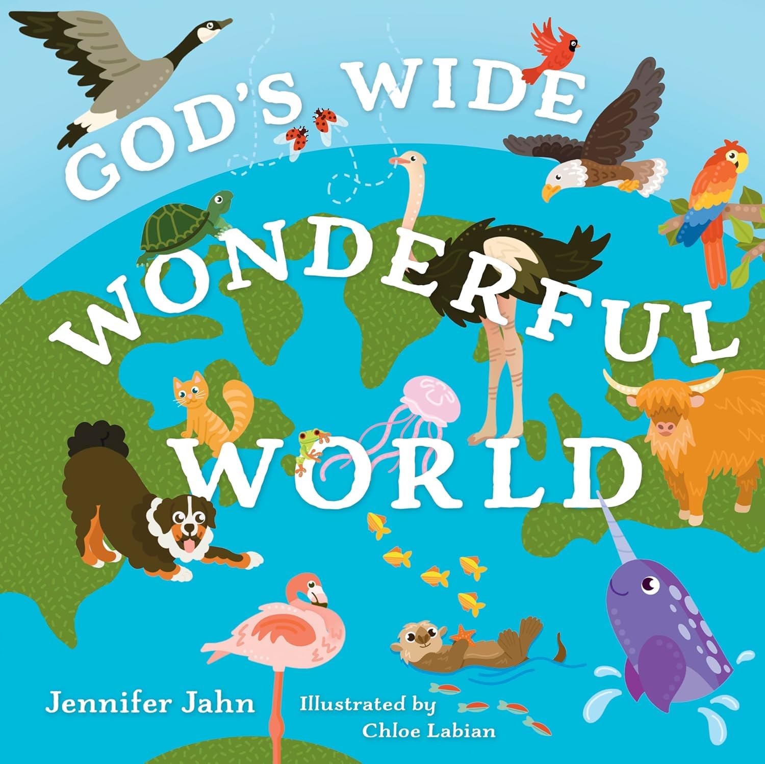 God’s Wide, Wonderful World: Exploring His Awesome Animals―and You!